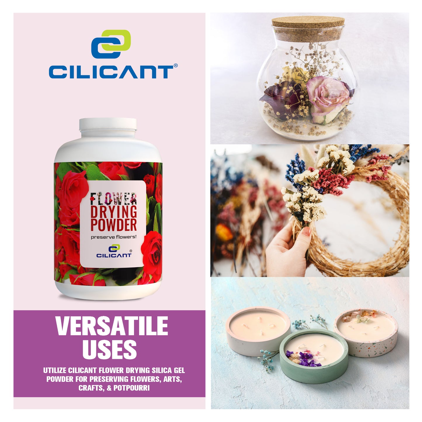 CILICAnT Silica Gel Powder for Flower Drying