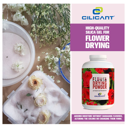 CILICAnT Silica Gel Powder for Flower Drying